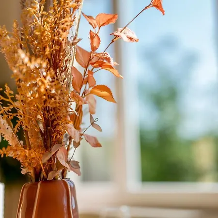 Traumhaftes Altstadt-domizil *